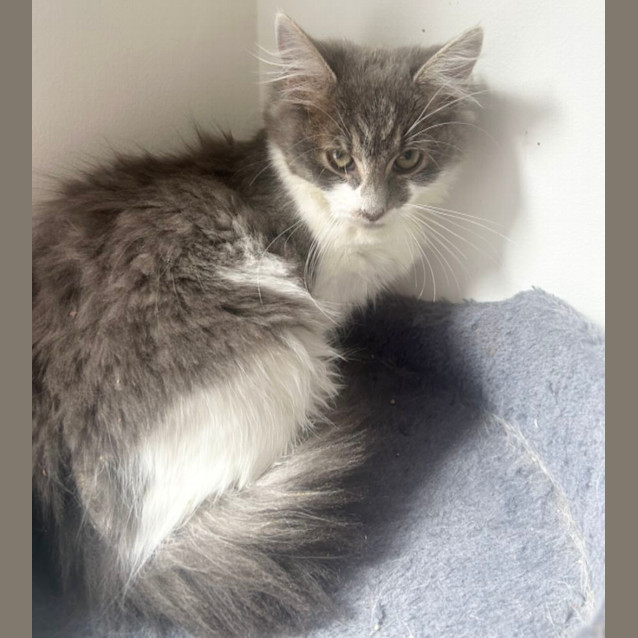 Photo of ❤️ Hendrix ❤️