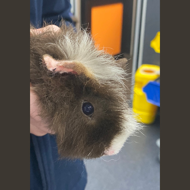 Photo of Larry