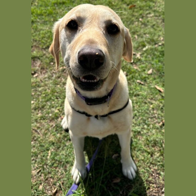 Photo of Tofu
