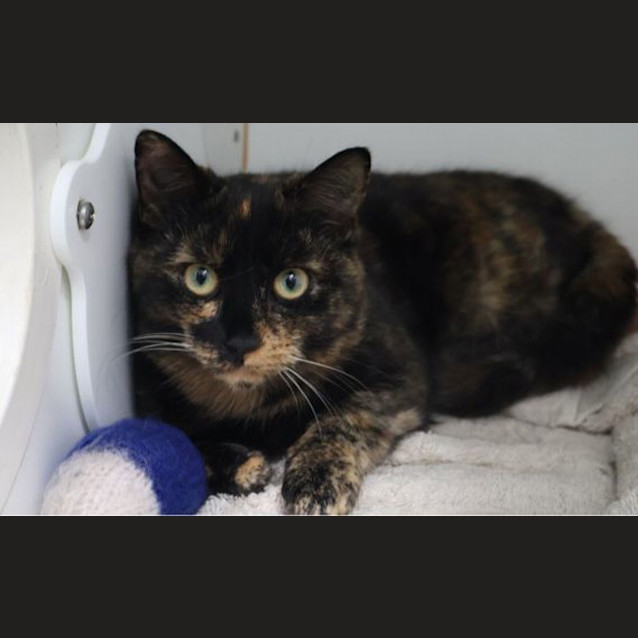 Photo of Susie