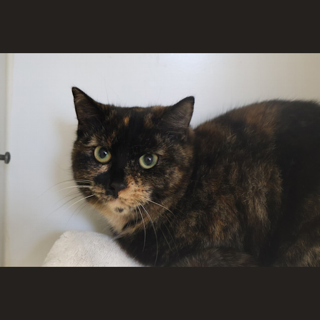 Photo of Susie