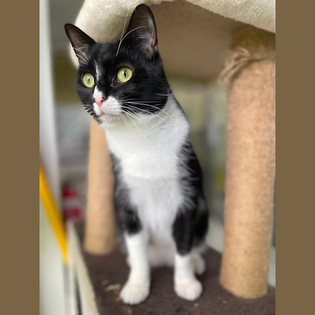 Photo of ☕ Milo 5070 ☕