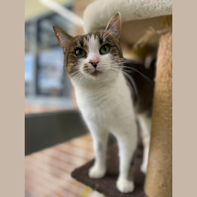 Photo of 🥟 Gnocchi 5092 🥟