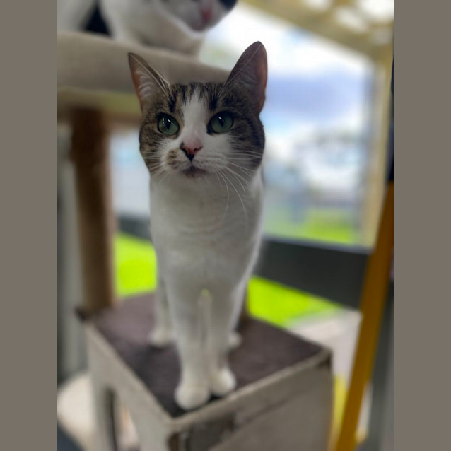 Photo of 🥟 Gnocchi 5092 🥟