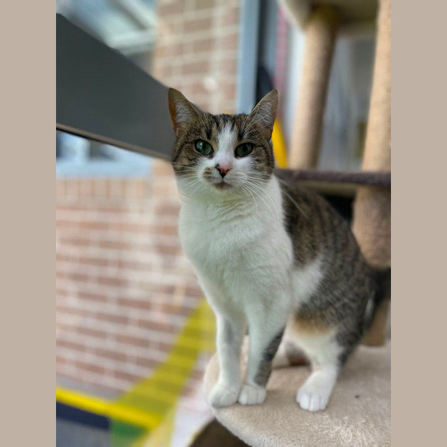 Photo of 🥟 Gnocchi 5092 🥟