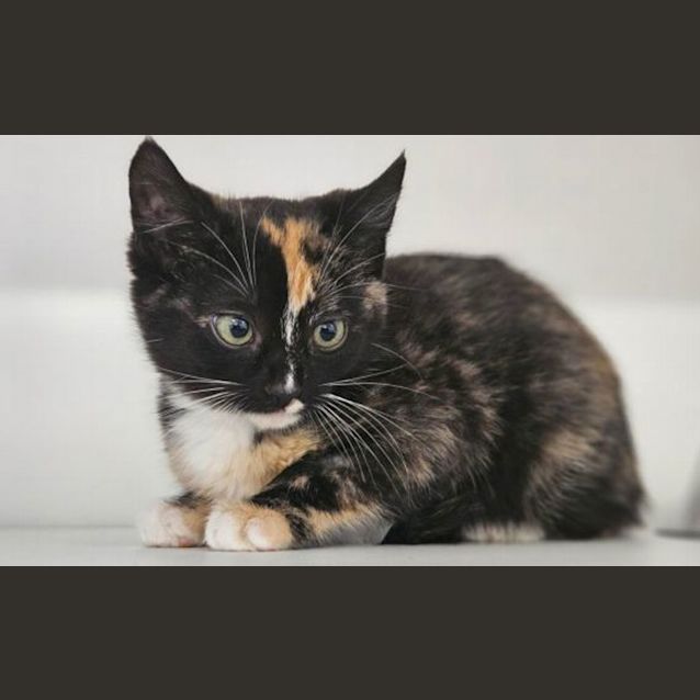 Photo of Hazel