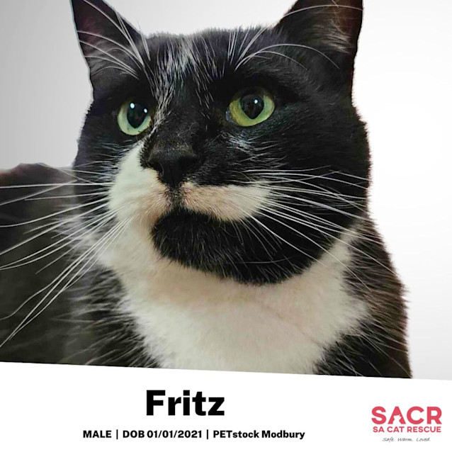 Photo of Fritz