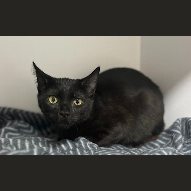 Photo of Salsa