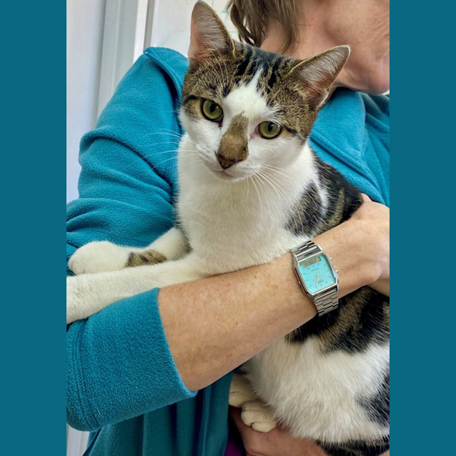 Photo of C1317 Thommo