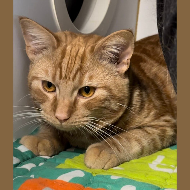 Photo of Barney Rubble