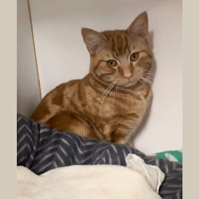 Photo of Barney Rubble