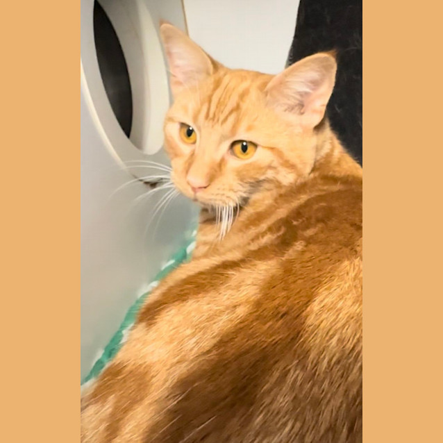 Photo of Barney Rubble