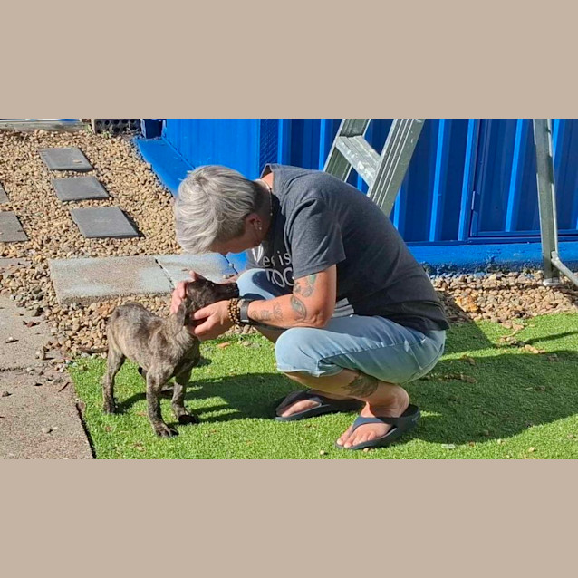 Photo of Dimples And Stevie