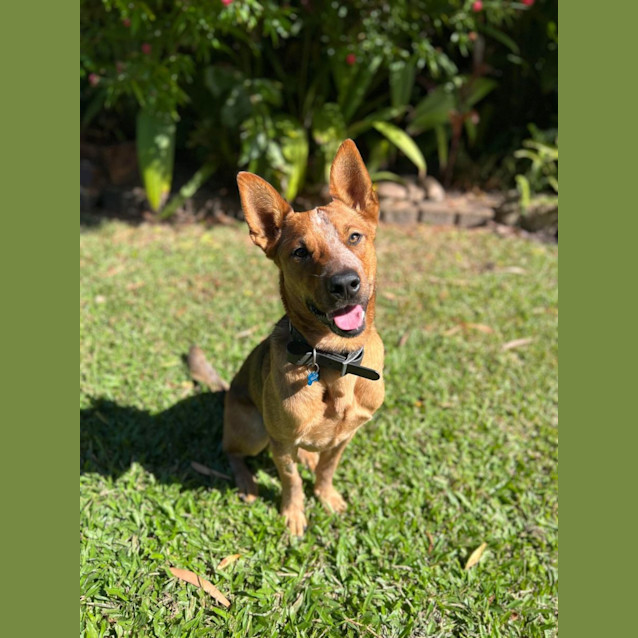 Photo of Marley