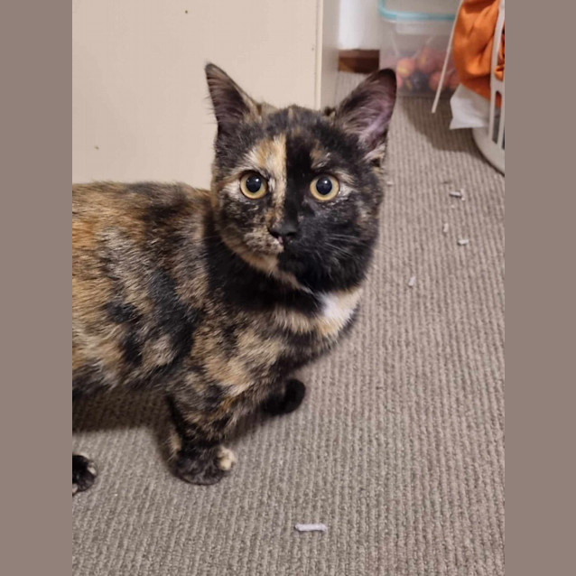 Photo of Mina