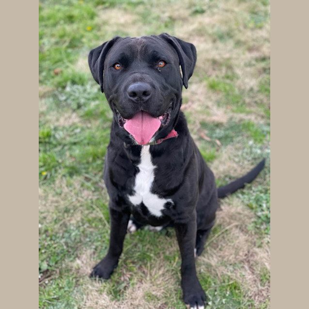 Photo of Floyd