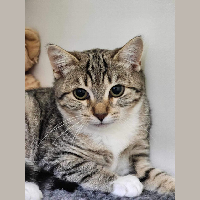 Photo of 🥙 Lentil 5107 🥙