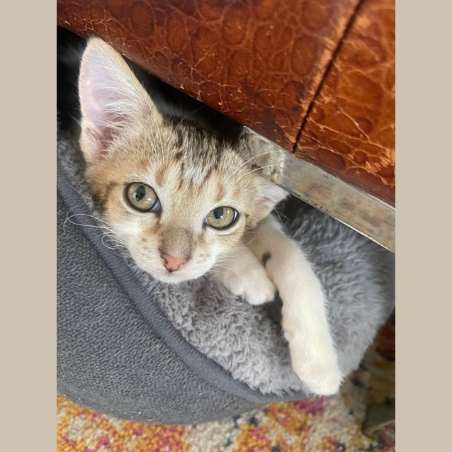 Photo of Stewie & Petie