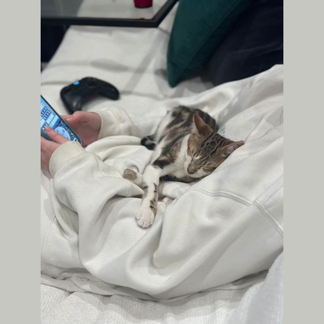 Photo of Stewie & Petie