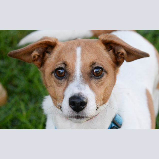 Photo of Molly