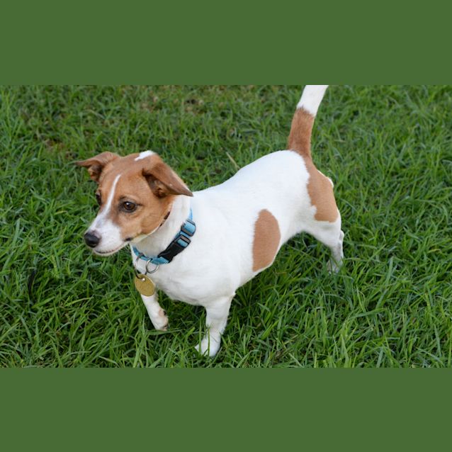 Photo of Molly