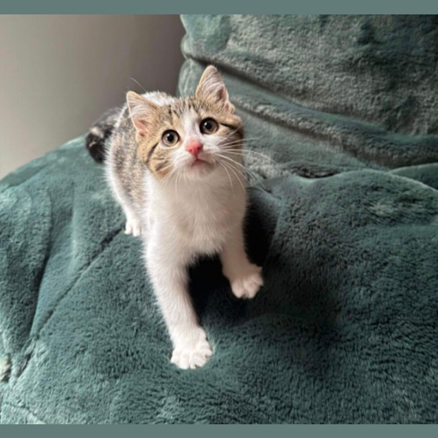 Photo of 🩷 Emmie 🩷