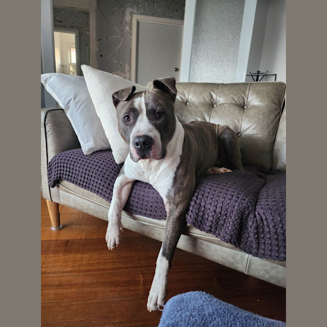 Photo of Stanley