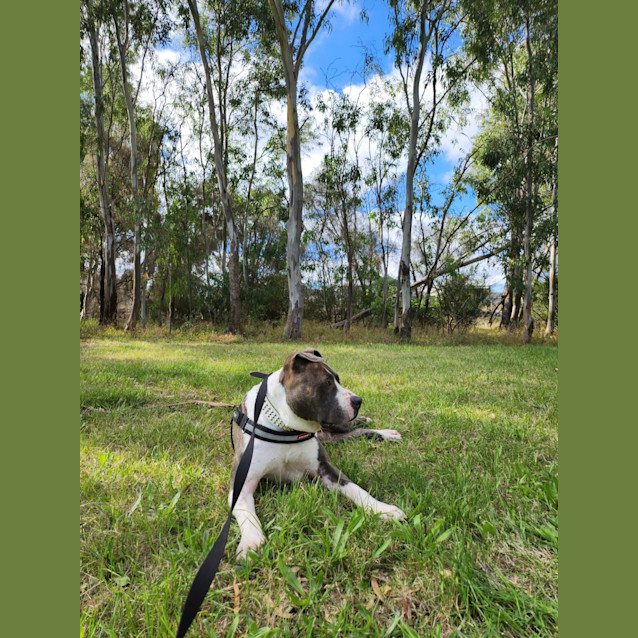 Photo of Stanley