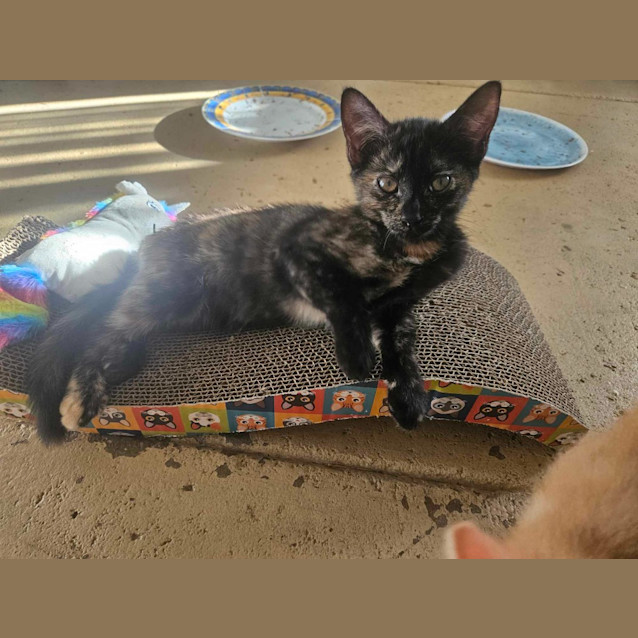 Photo of Tabitha
