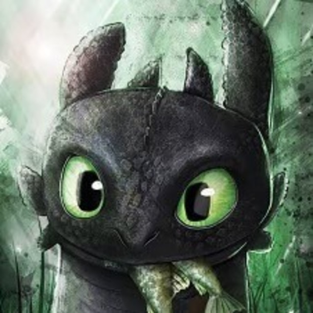 Photo of Toothless