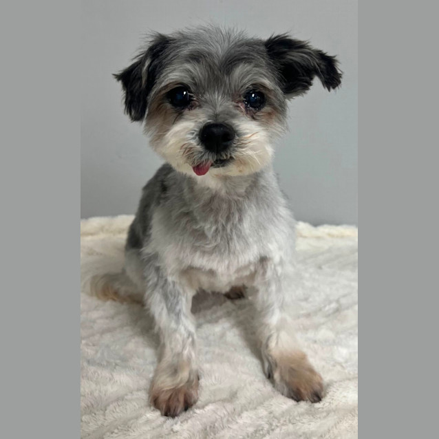 Photo of Milly