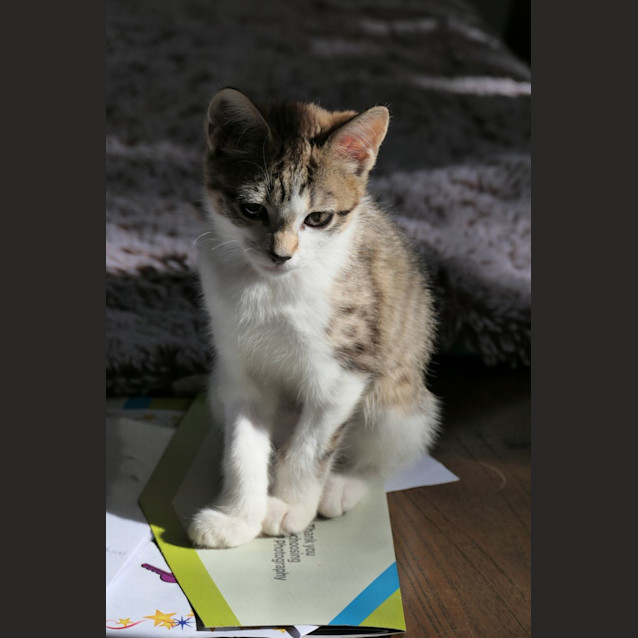 Photo of Lilliana 