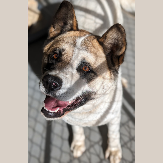 Photo of Driving Miss Fancy 