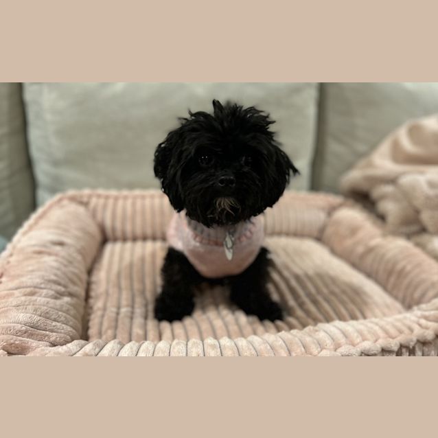 Photo of Cleo