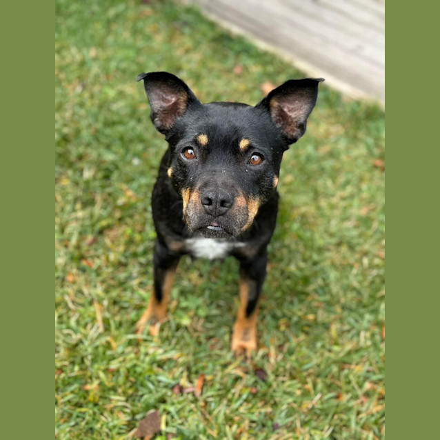 Photo of Reign 