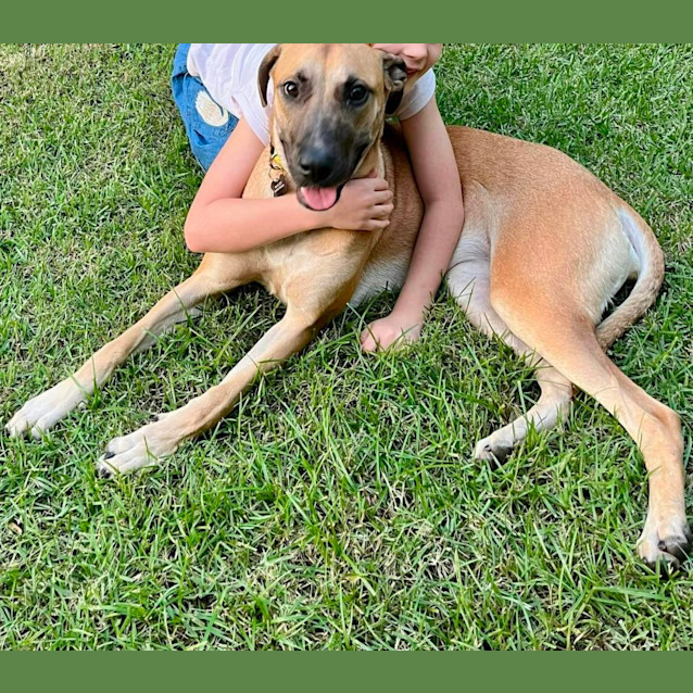 Photo of Nala
