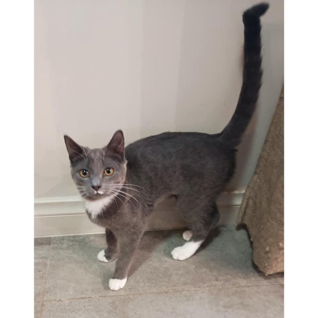 Photo of 10232   Zeke