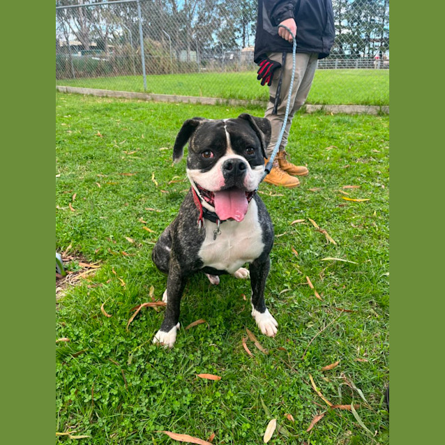 Photo of 👾 Mikey 5242 👾