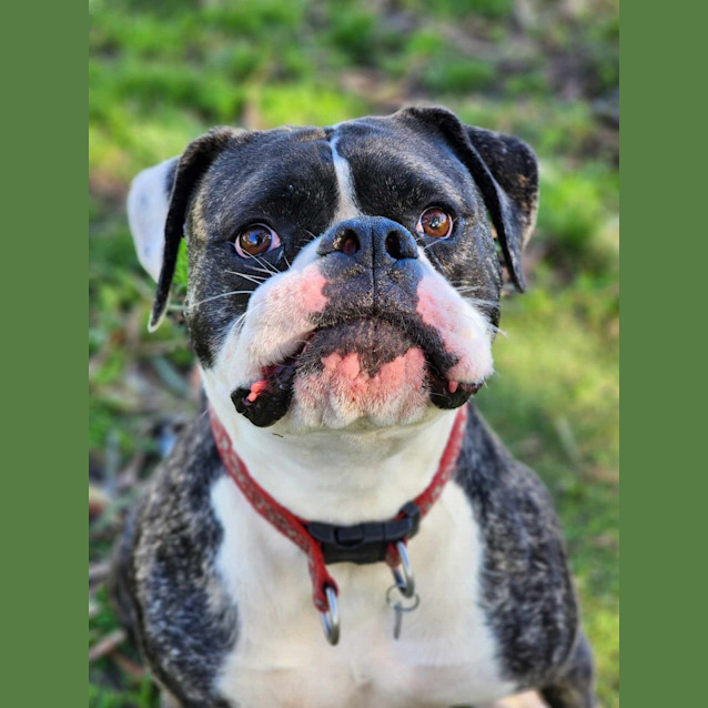 Photo of 👾 Mikey 5242 👾