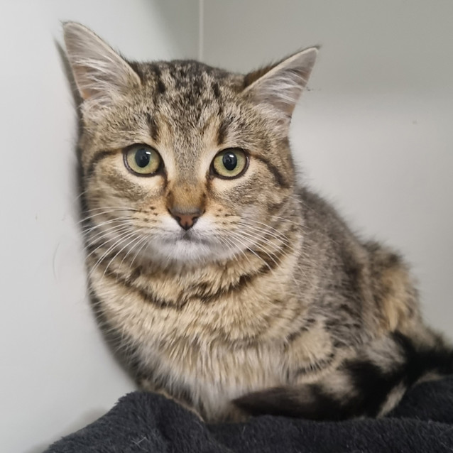 Photo of Matilda