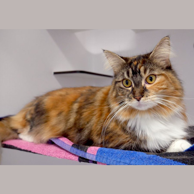 Photo of Stella Sua012748 & Sunny Sua012749