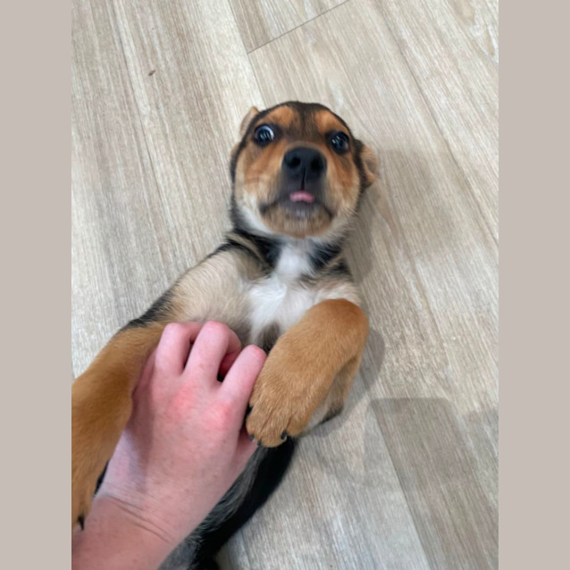 Photo of Cleo