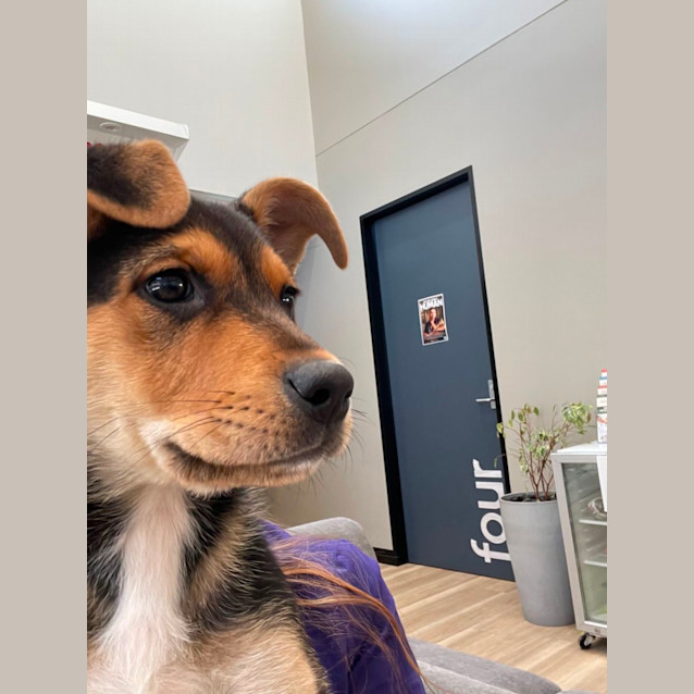 Photo of Cleo