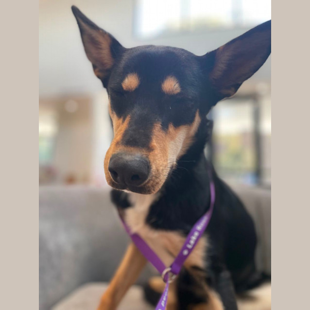 Photo of Skye