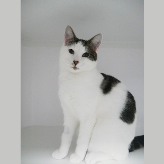 Photo of Aero & Twix