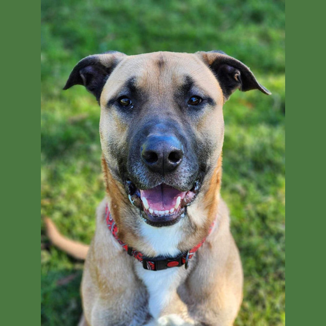 Photo of 🤠 Dusty 5095 🤠