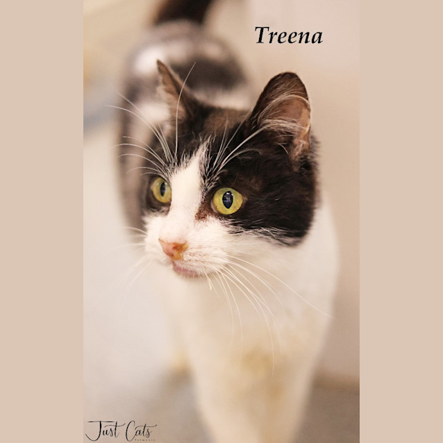 Photo of Treena