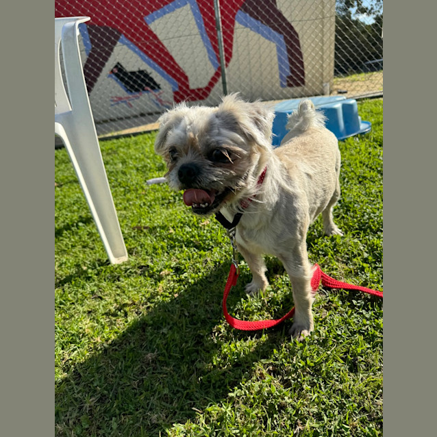Photo of Teddy