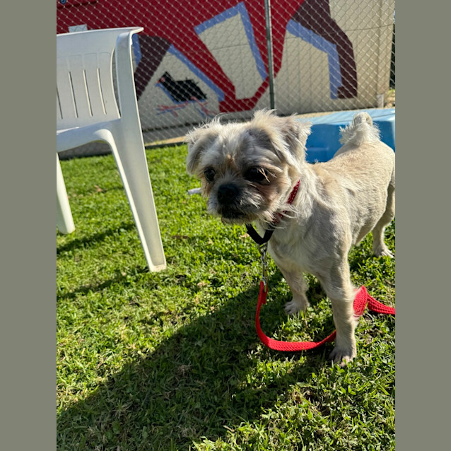 Photo of Teddy