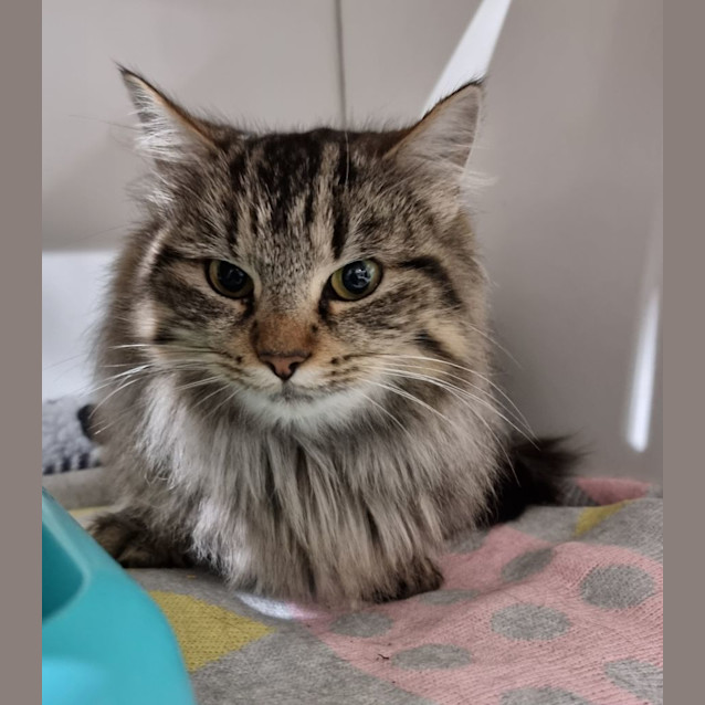Photo of Annie